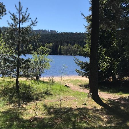 Rodinne Ubytovani Krauskopfovi Lipno nad Vltavou Dış mekan fotoğraf