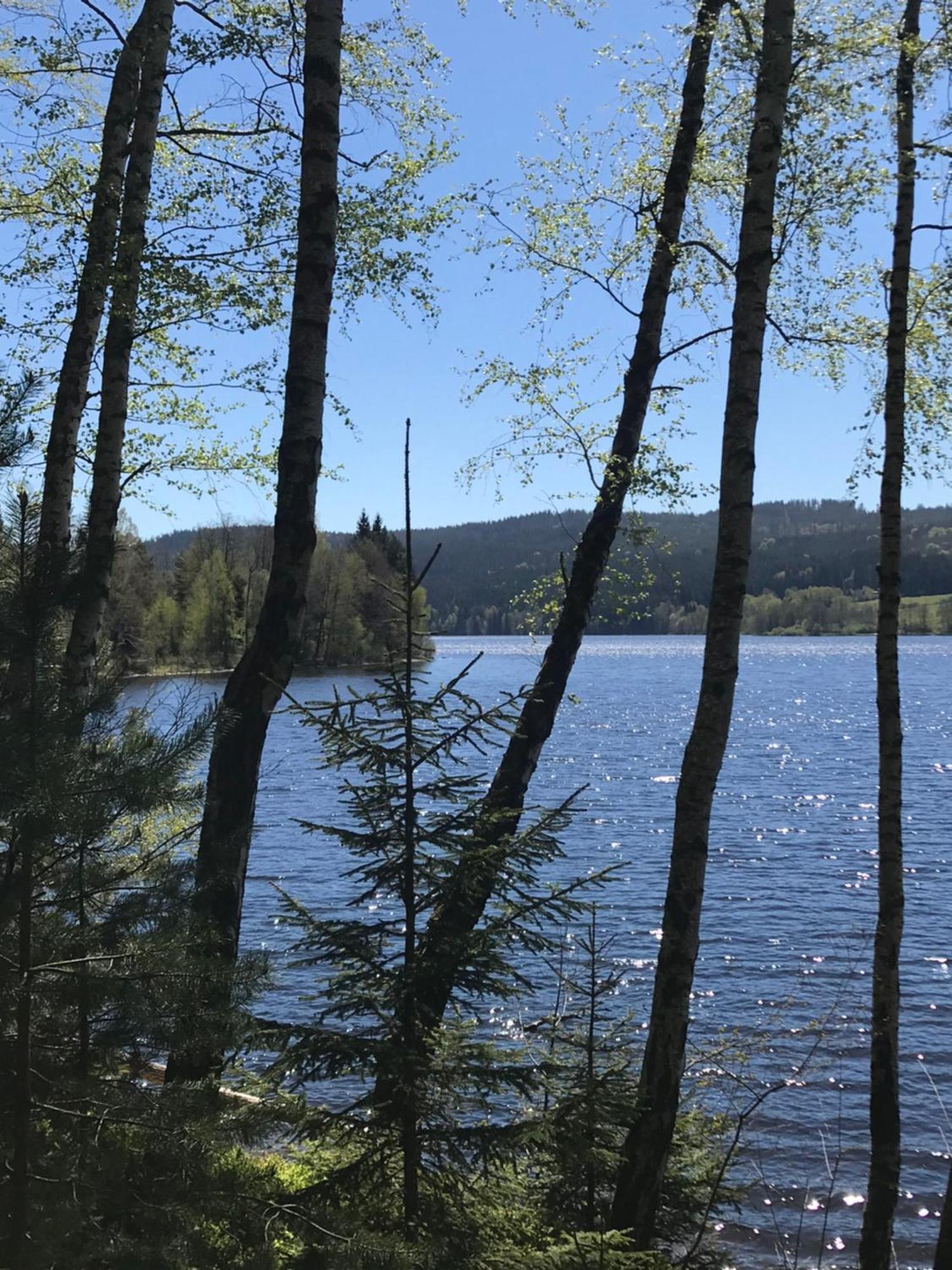 Rodinne Ubytovani Krauskopfovi Lipno nad Vltavou Dış mekan fotoğraf